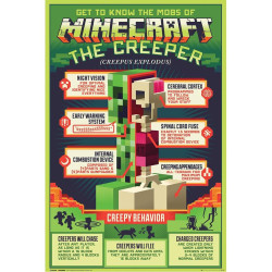 Plakát Minecraft Creeper 131