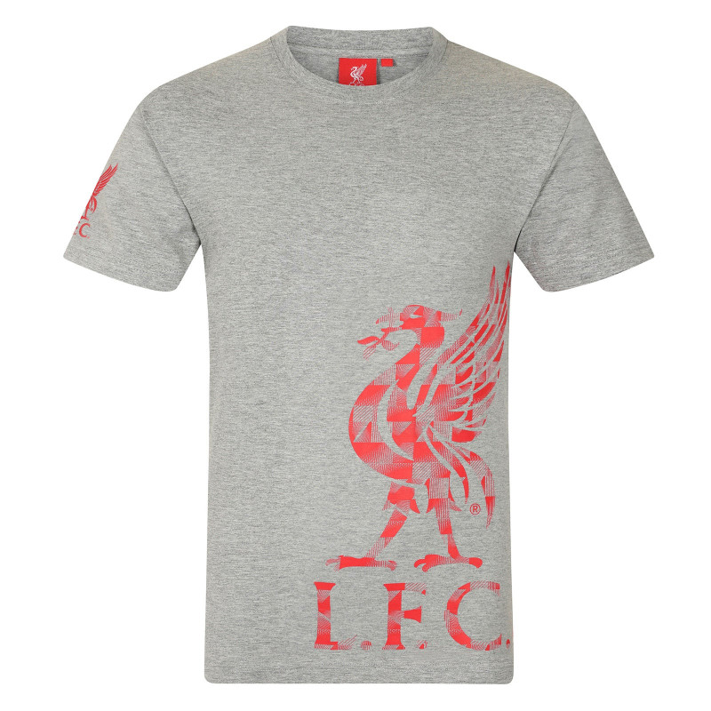 Dětské tričko Liverpool FC, šedé