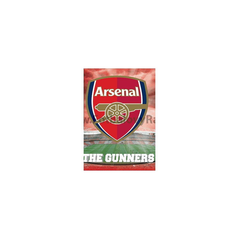 Plakát Arsenal FC 3D